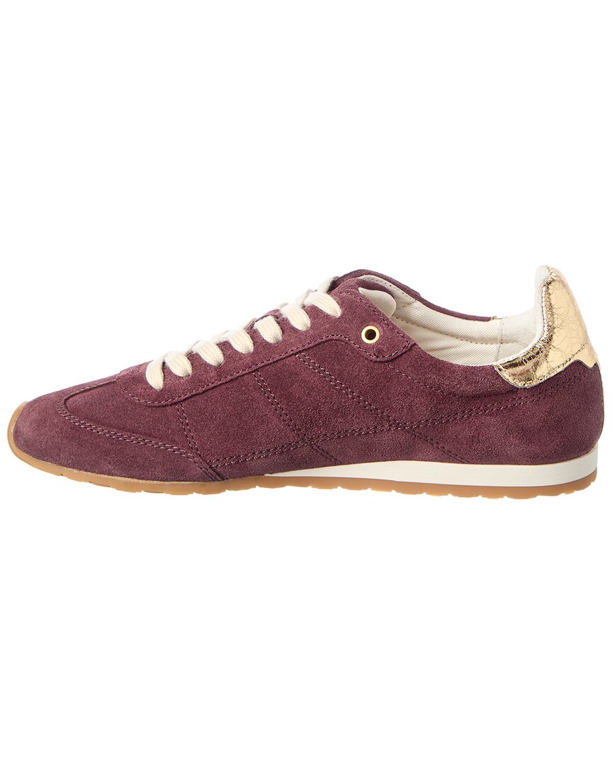 Dolce Vita | Womens | Diallo Sneaker | Purple
