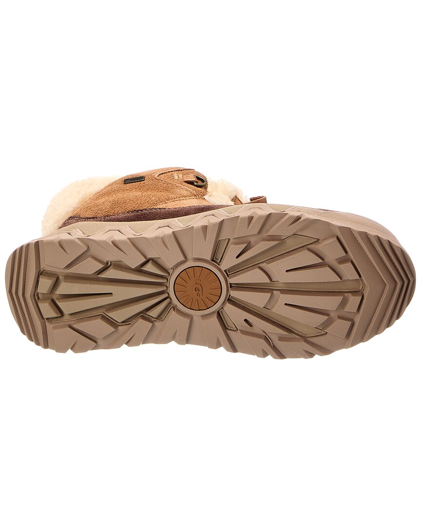 UGG | Womens | W Terretrail Cozy Lace Bootie | chestnut