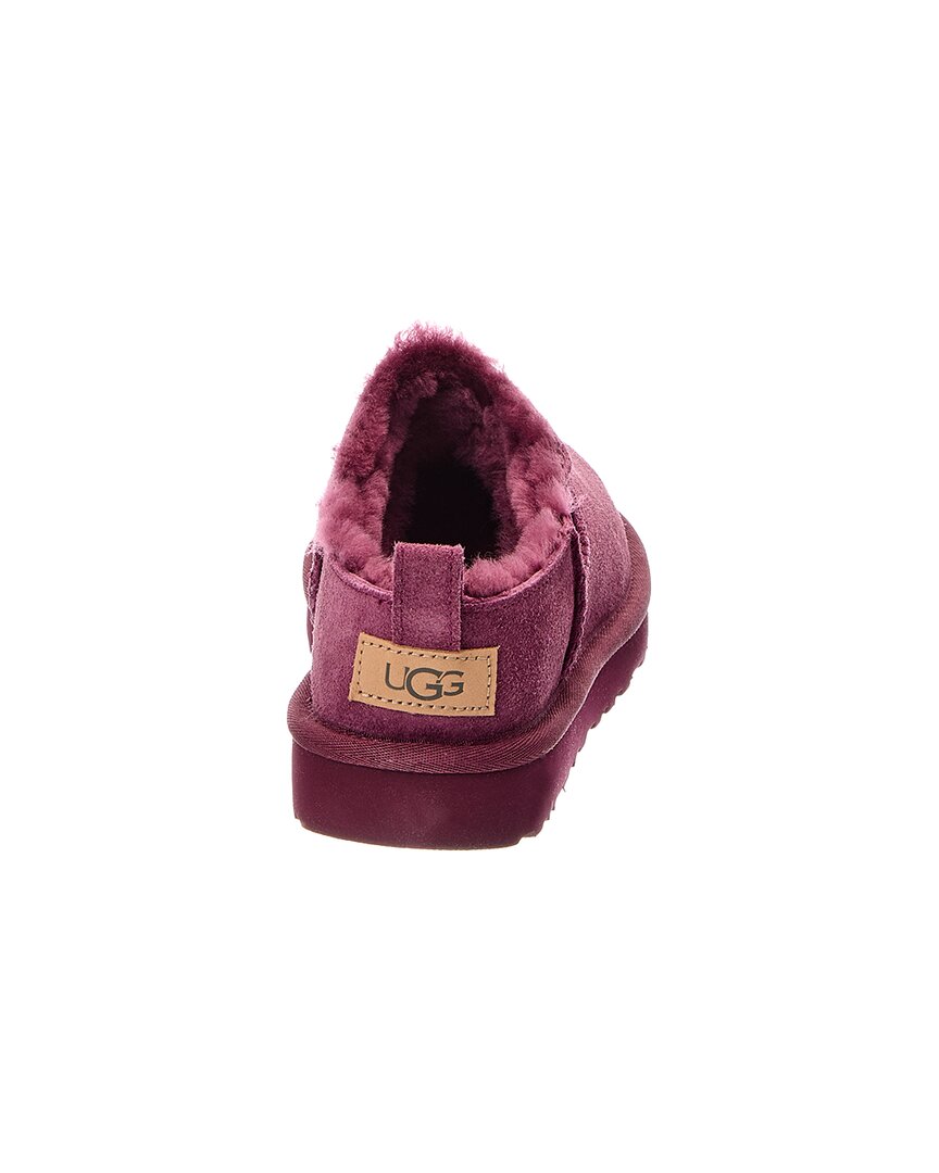 UGG | Womens | W Classic Micro Suede Mule | Purple