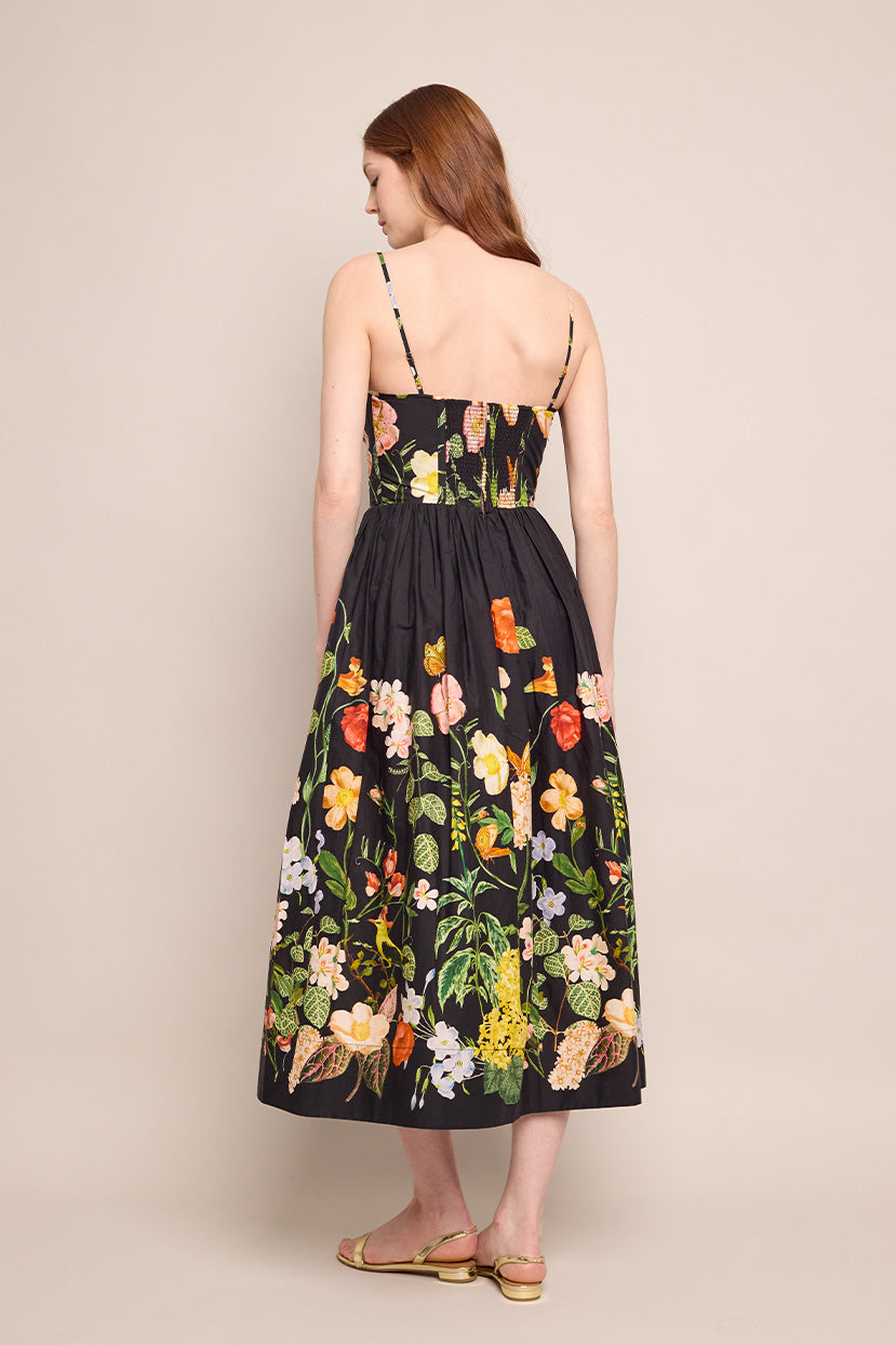 Alba Midi Dress | Nectar Black