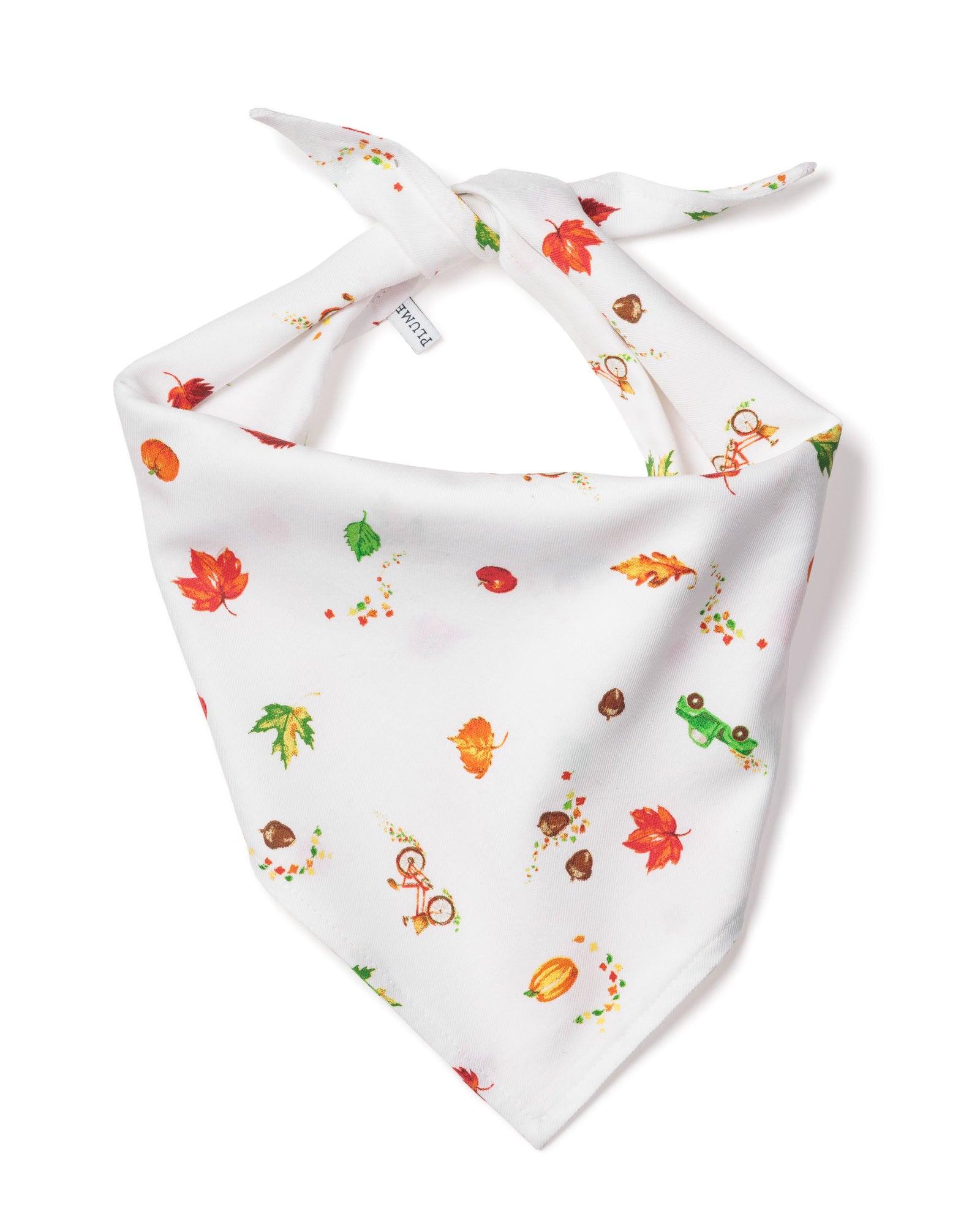 Dog Bandana | Shades of Autumn