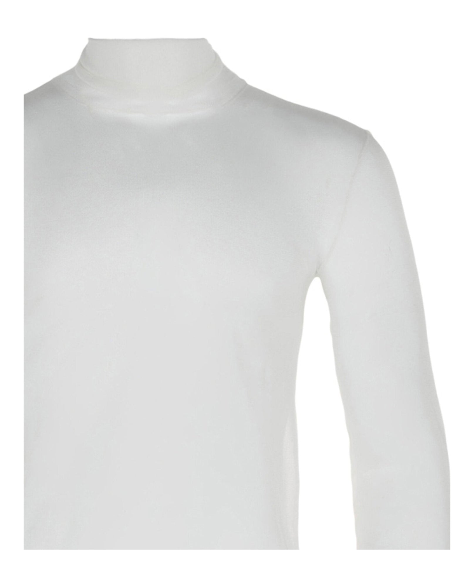 Bottega Veneta | Transparent Silk Turtleneck Sweater