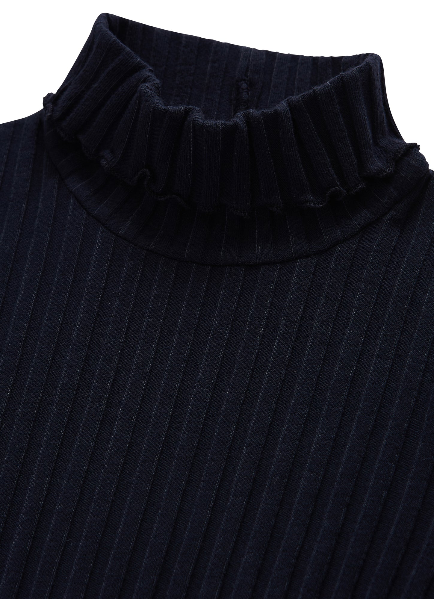 Ribbed Jersey Turtleneck | Blue
