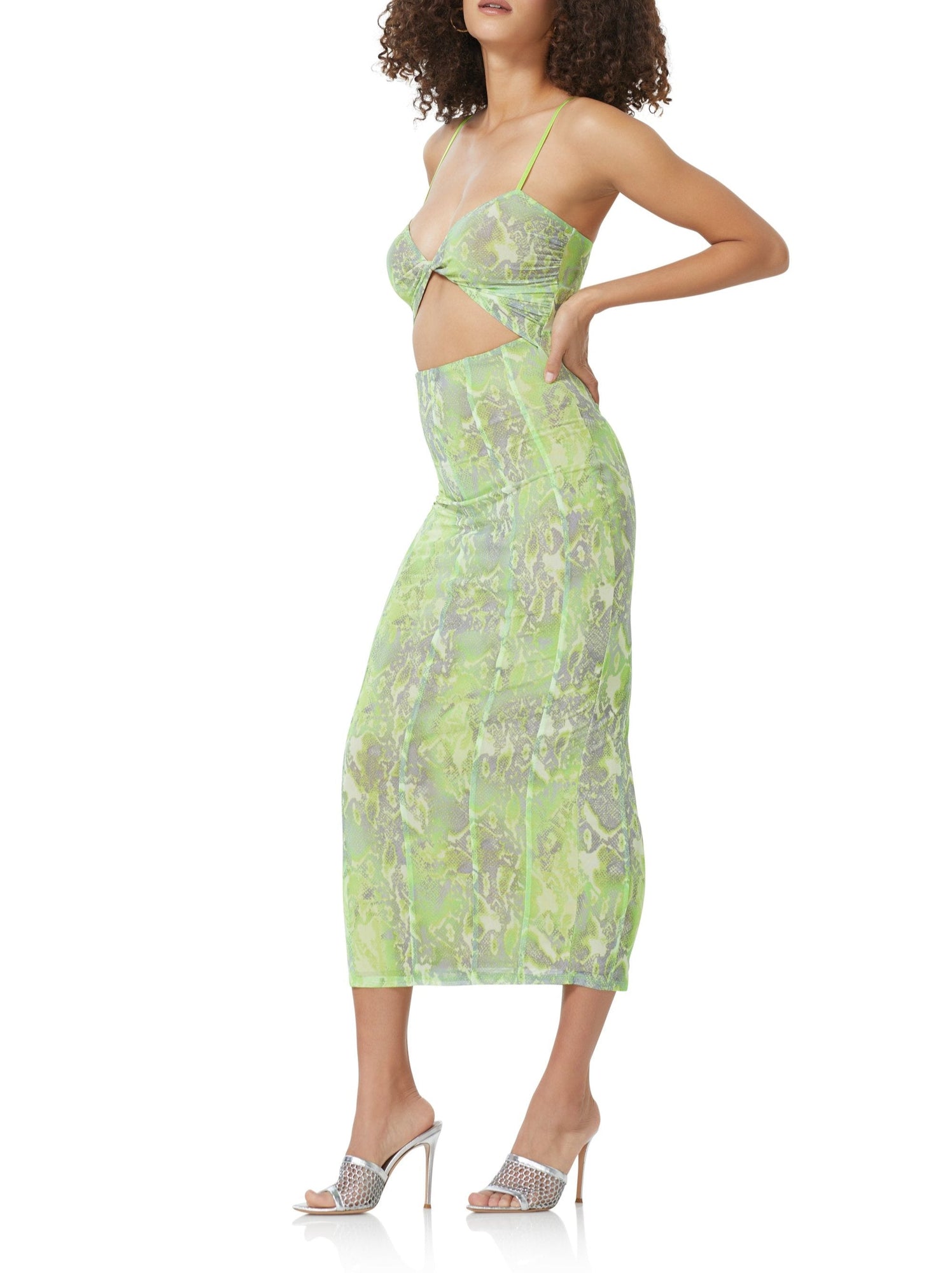 Shane Midi Dress | Lime Abstract Snake