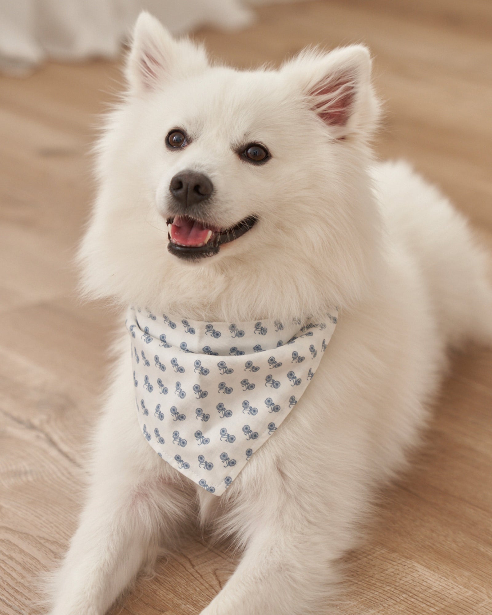 Dog Twill Bandana | Sail Away