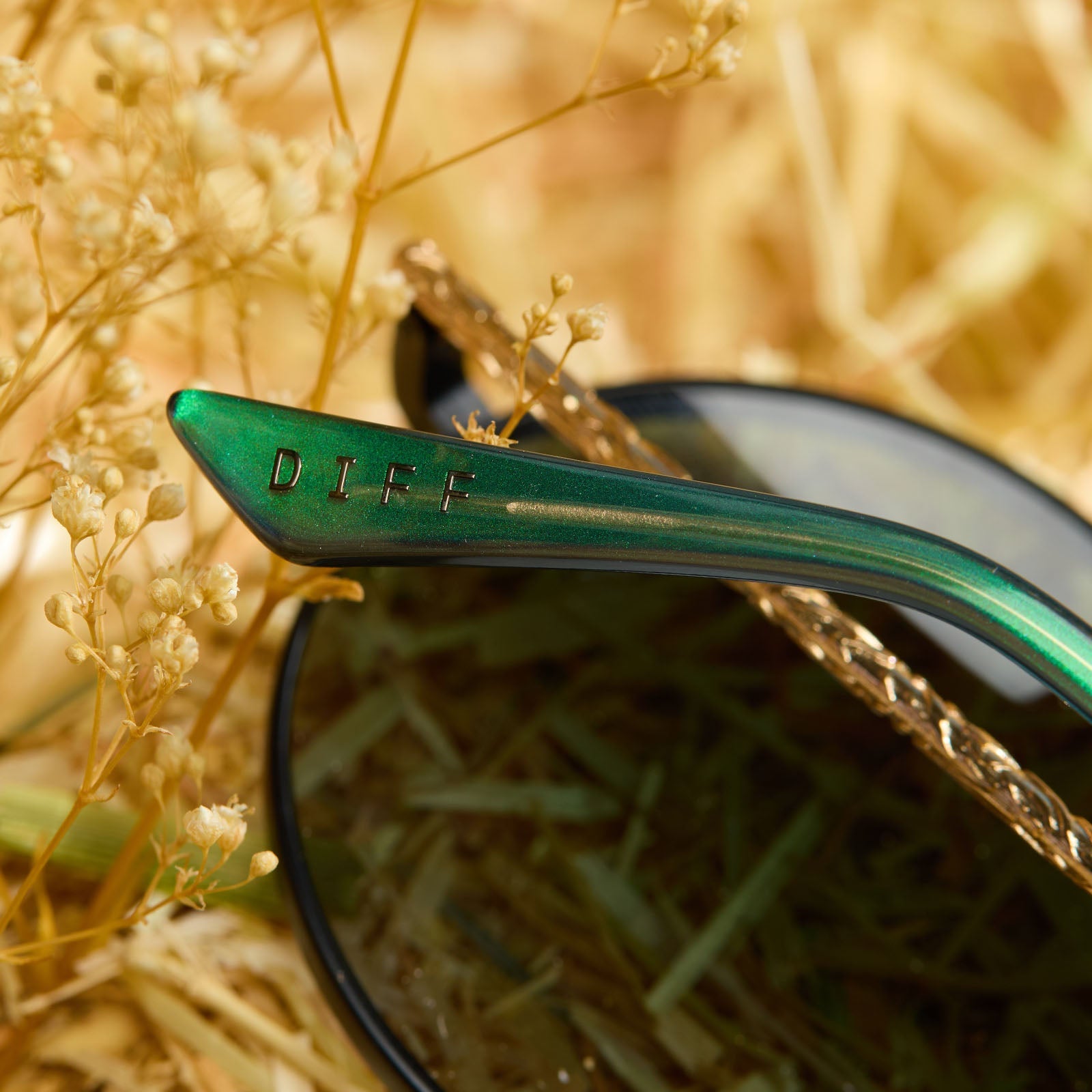 Womens | Elphaba Wire Frames Sunglasses | Classic Black Wire | Emerald Tint Gradient Lenses