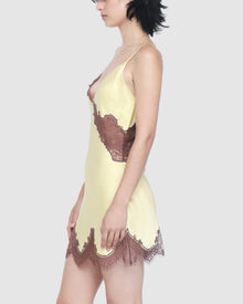 Minx Chemise | Butter w/ Brown Lace