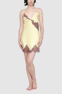 Minx Chemise | Butter w/ Brown Lace