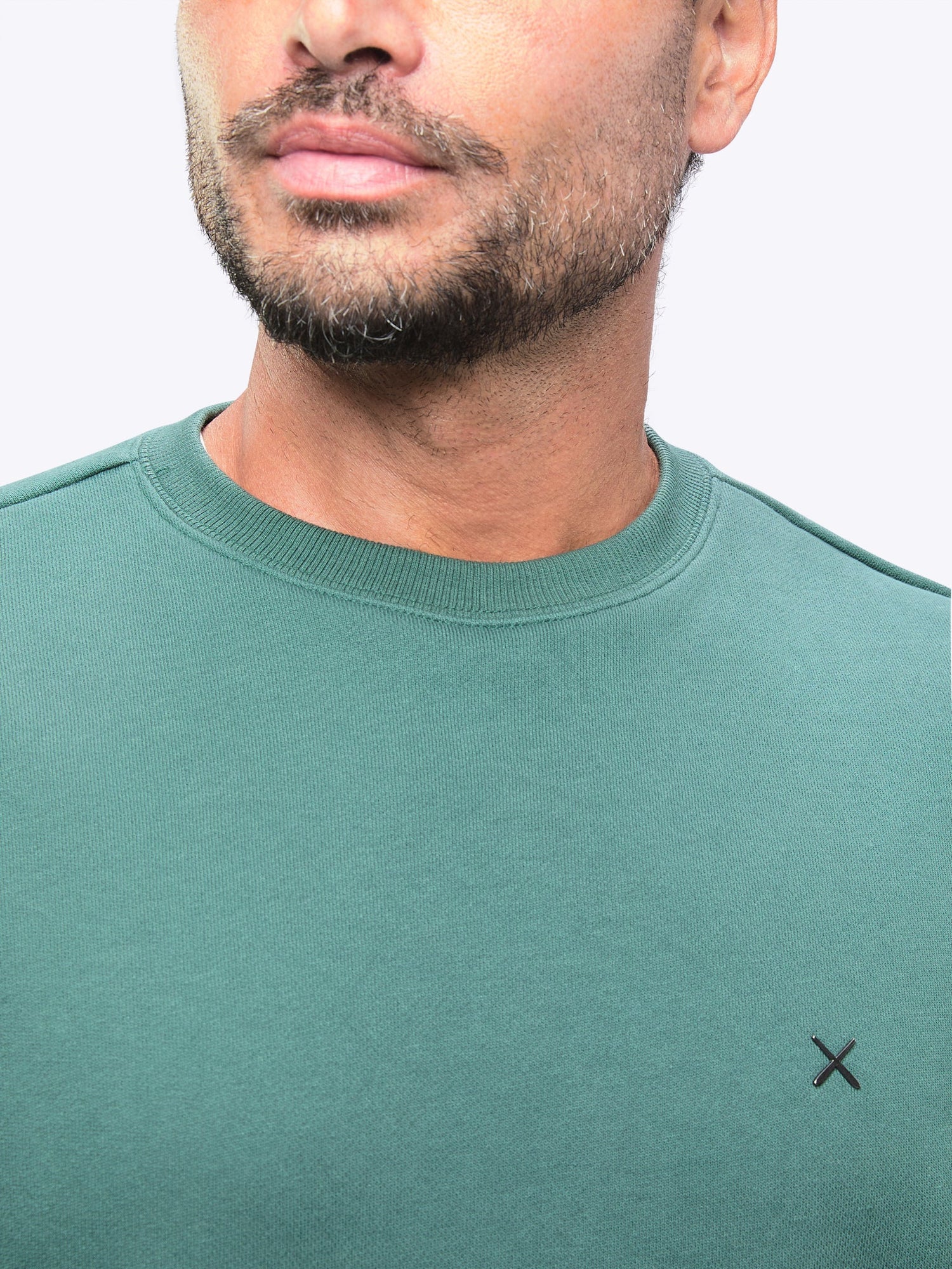 Mens | Divine Classic-Fit Fleece Pullover | Juniper