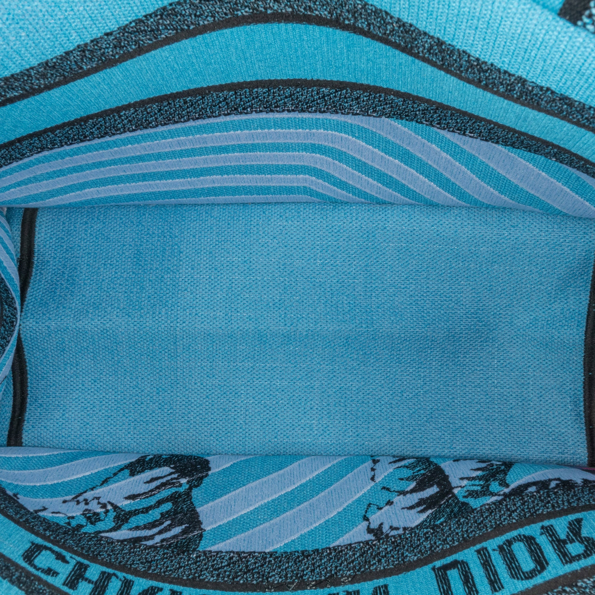 Dior | Pre-Owned Medium Embroidered Canvas Zebra D Jungle Pop Book Tote | Blue/Light Blue