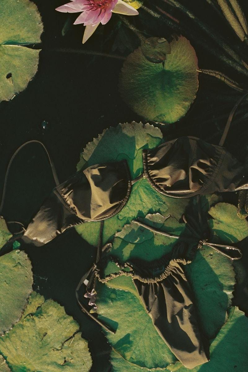 Khaki scrunch bikini bottom with ruched sides displayed on lily pads and pink flower.