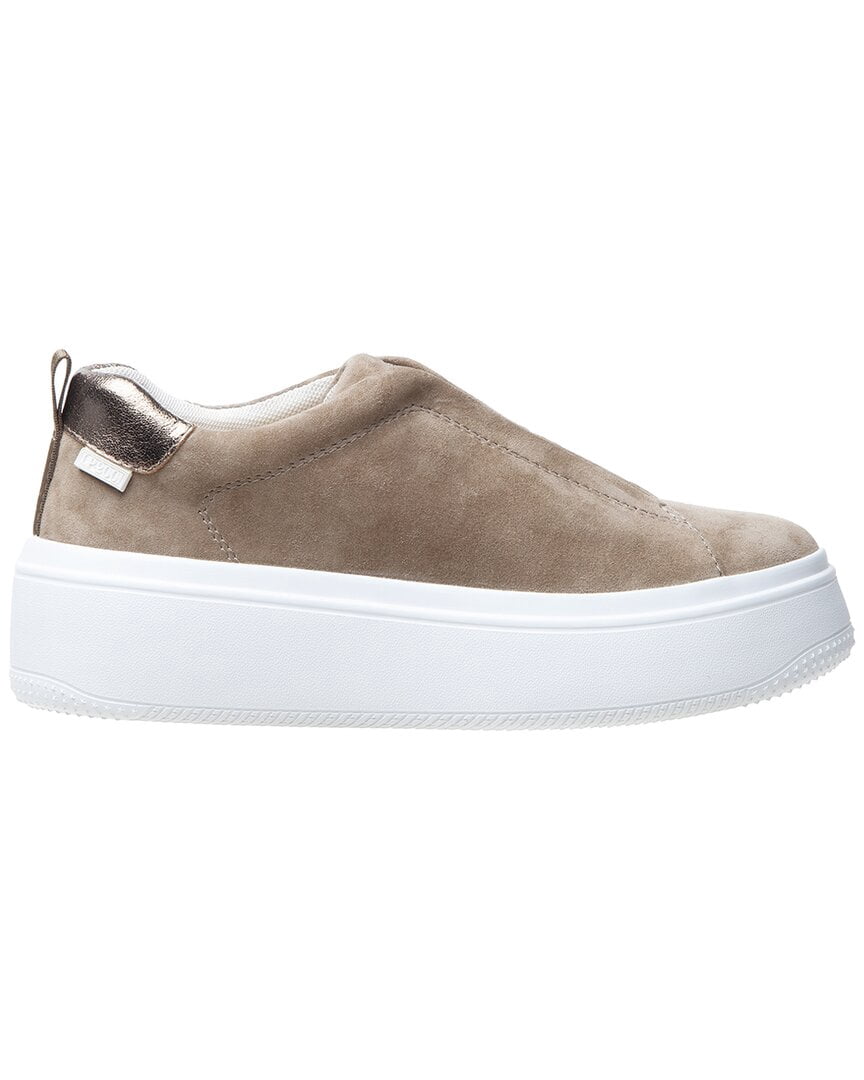 Linea Paolo | Womens | Golde Suede Sneaker | Brown