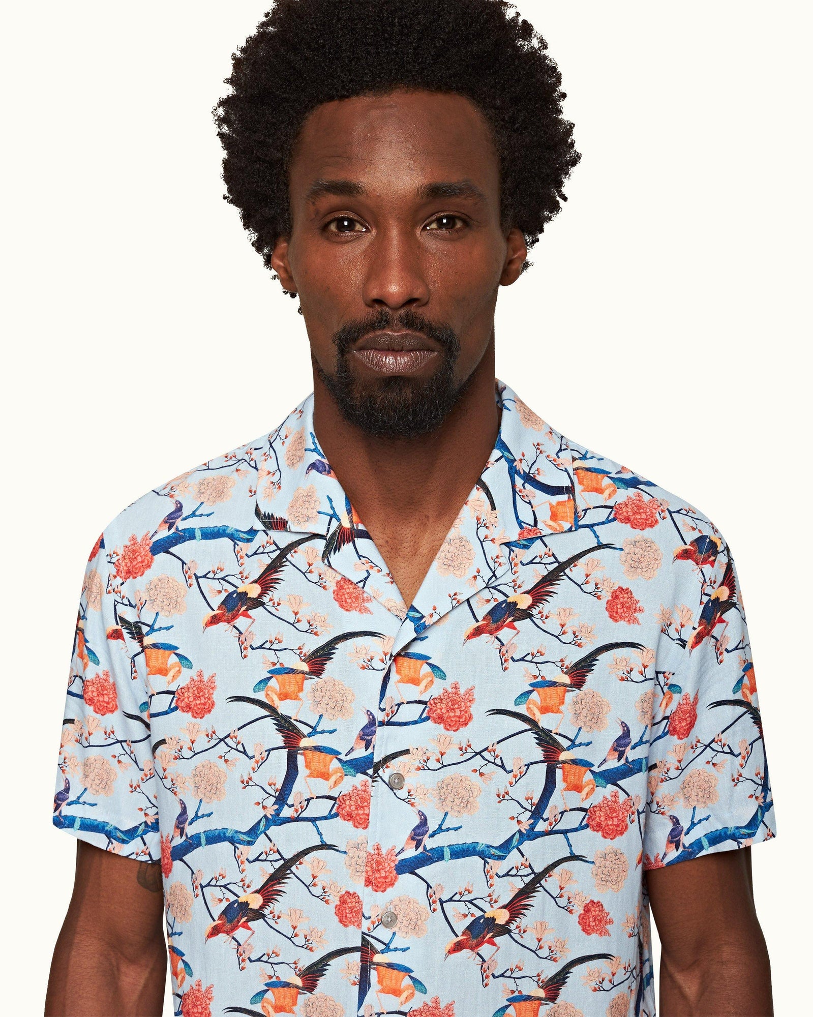 Hibbert Light Island Sky Flight Of Fantasy Capri Collar Short-Sleeve Shirt | Light Island Sky