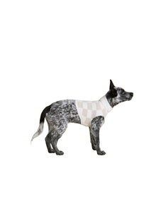 Pet | Cozychic Cotton Checkered Sweater | Oatmeal-Cream
