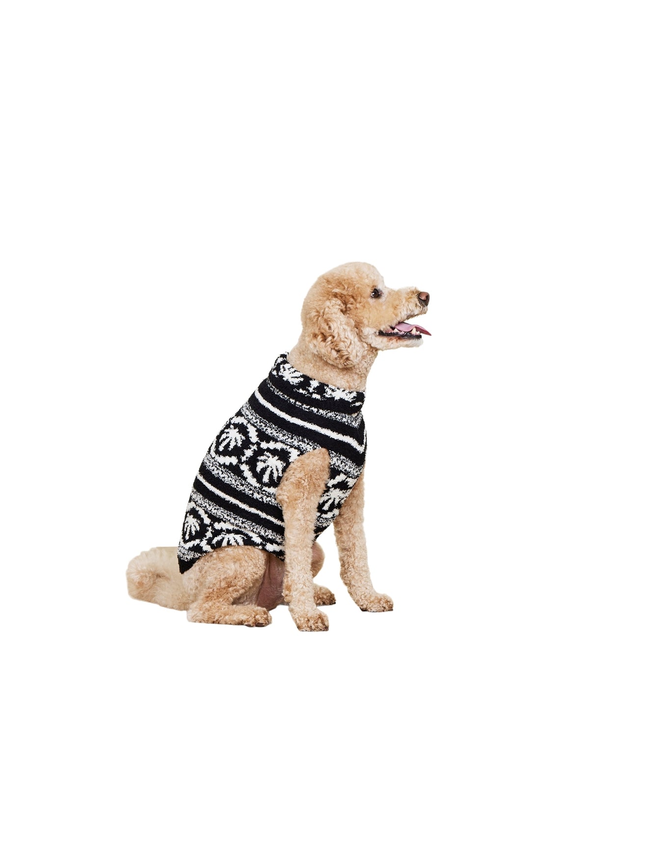 Pet | Cozychic Malibu Fair Isle Sweater | Black-Cream