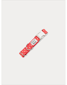 Pet Accessories | Dog Collar | Red