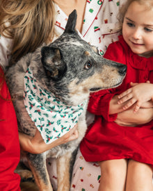 Dog Bandana | Sprigs of the Season