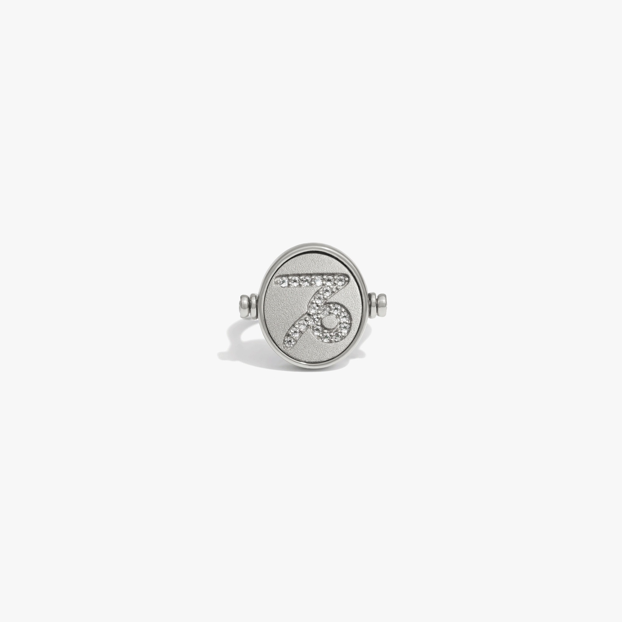 Awe Inspired  Rings Zodiac Element Flip Ring