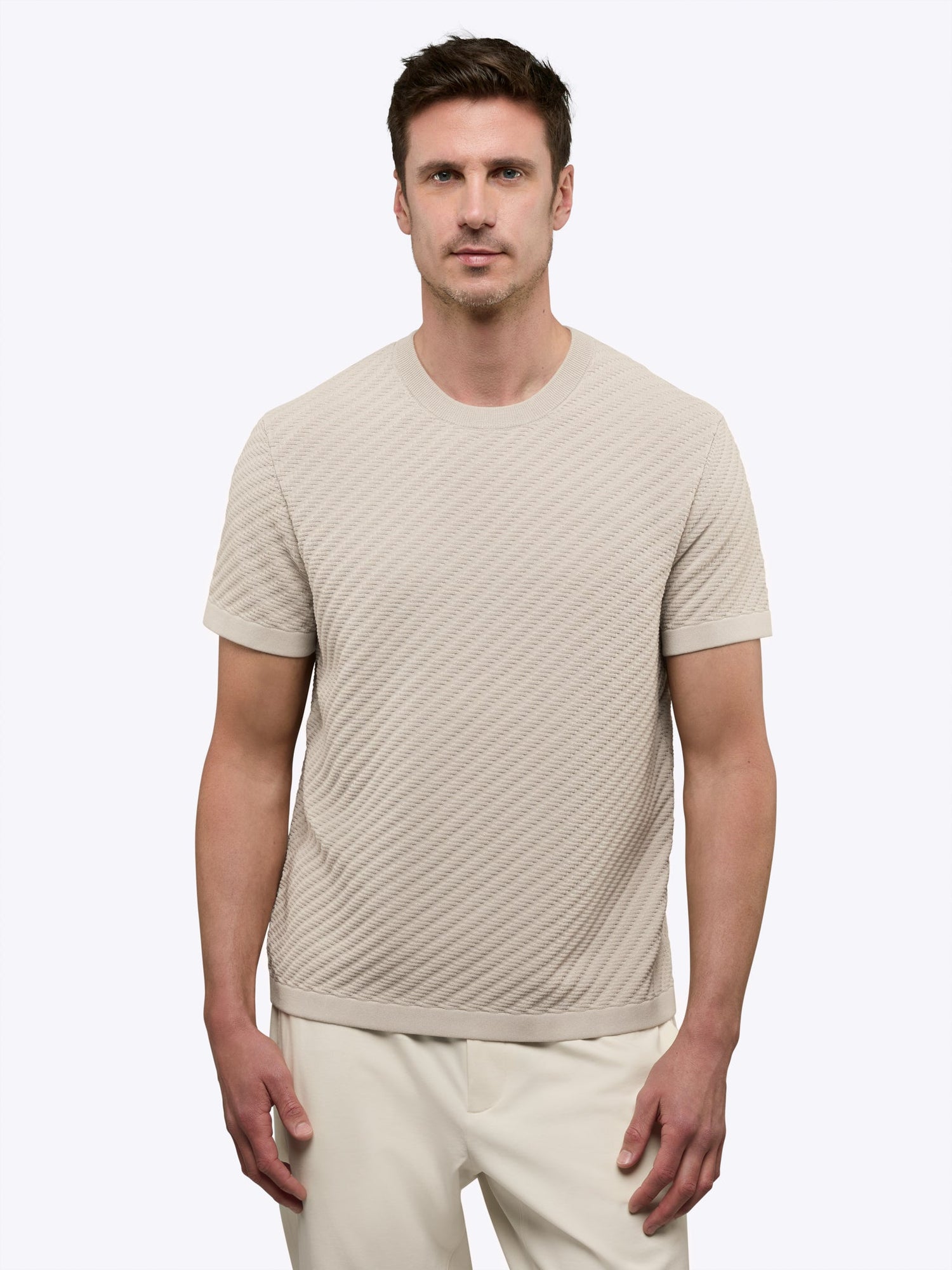 Mens | Riviera Knit Signature-Fit Textured Tee | Sand Dune
