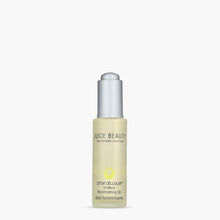 Stem Cellular Vinifera Replenishing Oil + Primer