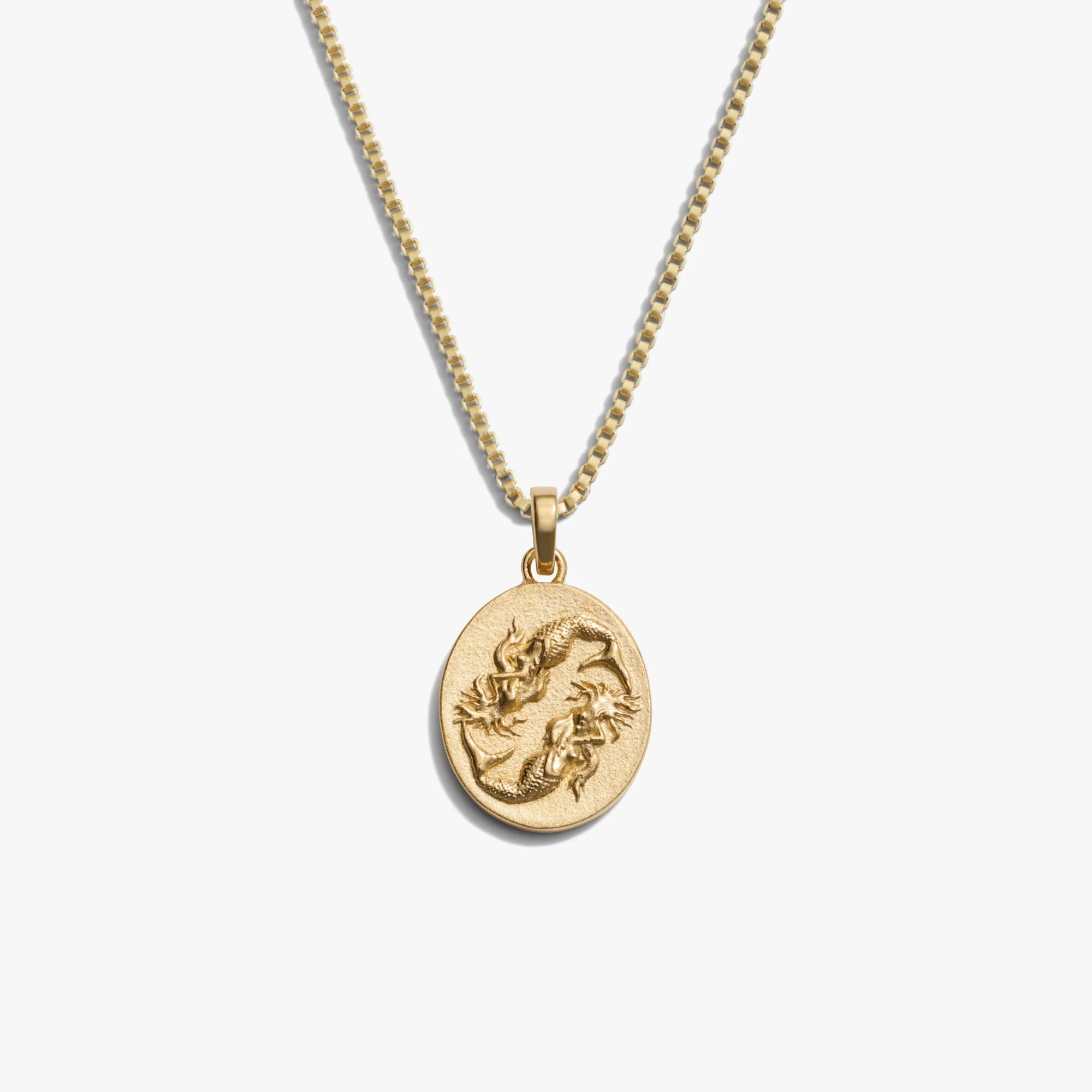 Awe Inspired Necklaces 14K Gold Vermeil / Pisces / Standard Zodiac Goddess Necklace