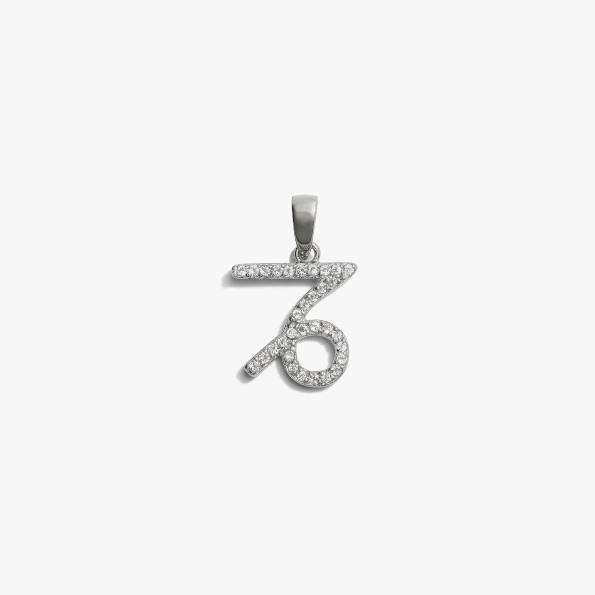Awe Inspired Pendants Sterling Silver / Capricorn / Mini Zodiac Gemstone Amulet