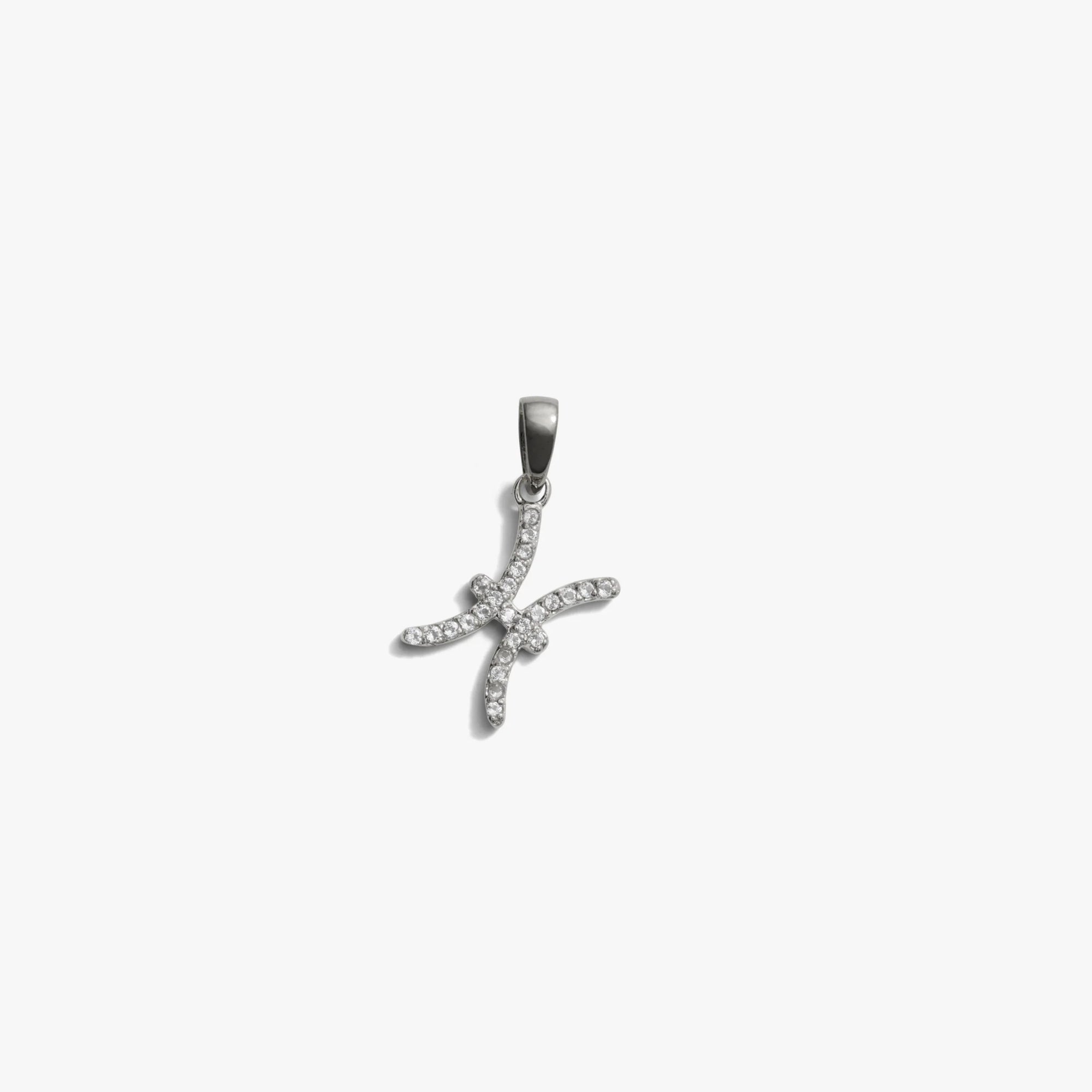 Awe Inspired Pendants Sterling Silver / Pisces / Mini Zodiac Gemstone Amulet