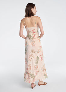 light peach rose