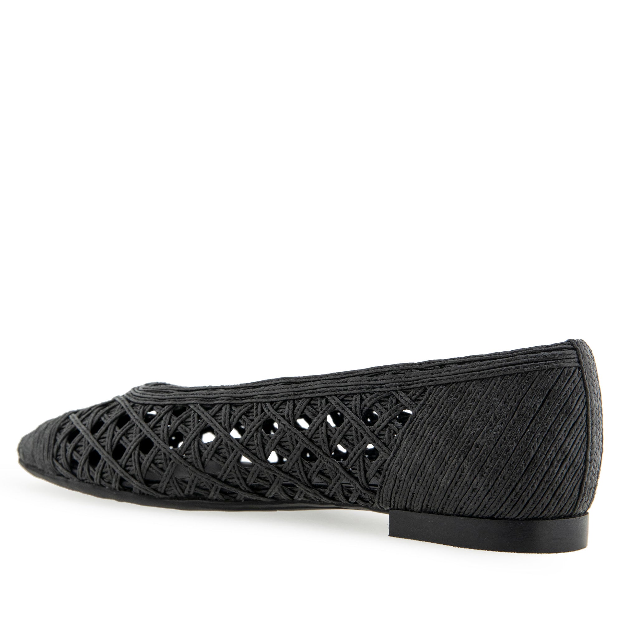 Arnoraff Dress Flat | Black Embroidered Raffia